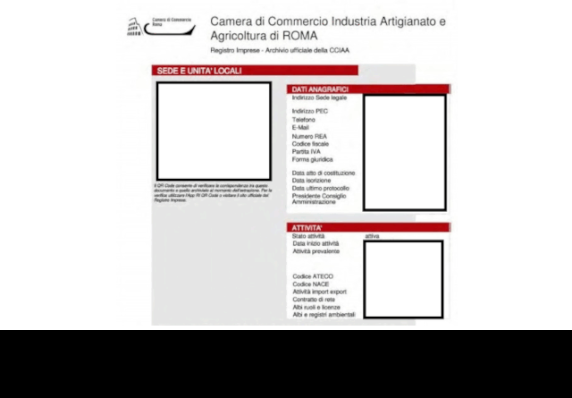 visura camerale